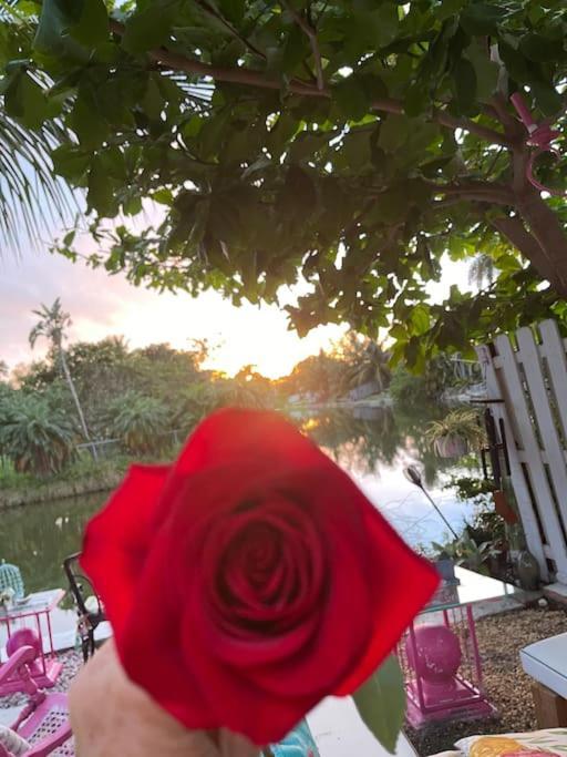 Kasa Karma On Water King Pool Paradise,Best Beaches,Restaurants, Gulfstream,Hard Rock Casino Hallandale Beach Exteriör bild