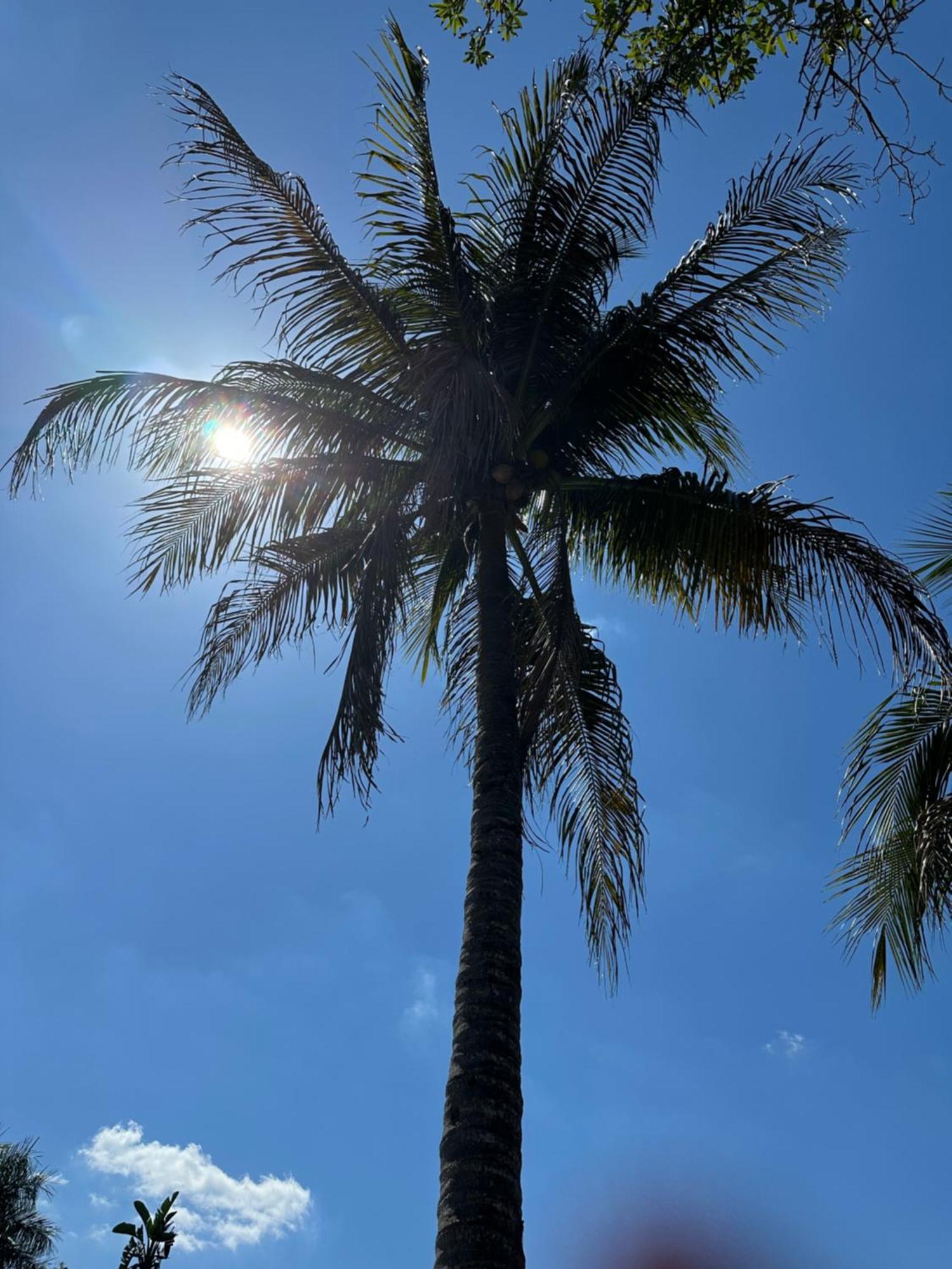 Kasa Karma On Water King Pool Paradise,Best Beaches,Restaurants, Gulfstream,Hard Rock Casino Hallandale Beach Exteriör bild